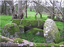 H5172 : Chambered grave at Cloghfin by Kenneth  Allen