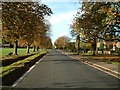 SU6758 : Bramley Road, Sherfield on Loddon by Colin Bates