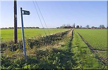 TF3421 : Footpath from Hurdletree Bank to Crane's Gate by Guy Erwood