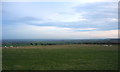 NZ2257 : Field, looking SE towards Ravensworth Grange by Alan Fearon