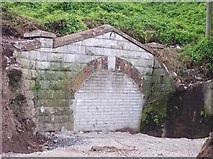 W7768 : North Portal of Passage Tunnel, Passage West, Co Cork by Ralph Rawlinson