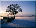 Sunrise over a snowy South Park