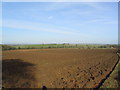 Ploughed field, south of Leesthorpe