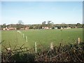 Farm, Bawburgh