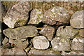 Stane Dyke at Torquhandallochy