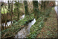 Bickington: leat to Chipley Mill