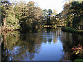 Brookfield Pond