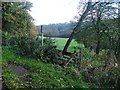 Public Footpath, Ridge Lane