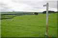 Footpath Sign west of Harehope