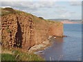 SY0883 : Sandstone Cliffs at Brandy Head by Sheila Russell