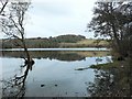 Loch of Clunie