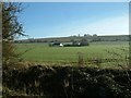 Rose Cottage, Bohams Road