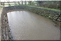 SJ5991 : Winwick Dry Dock on the Sankey/ St Helens Canal by David Long