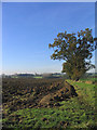 Ploughed Field, Willingale, Essex