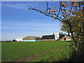 Butt Hatch Farm, near Fyfield, Essex