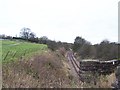 Mineral Line from Swinden Quarry