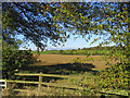 A rural view from Nathans Lane, Writtle, Essex