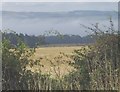 NZ0563 : Autumn mist in Tyne Valley from Bearl by jenny loring