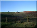 Rough pastures southeast of the lime kiln northeast of Grasslees