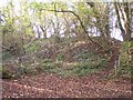 Nottingham Hill Fort Earthworks