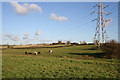 Farmland near Thorpe Arnold, Leicestershire