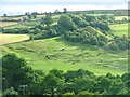 View Across Commondale