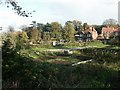 Allotments, Hellesdon