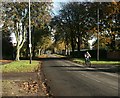 The Avenues, Norwich