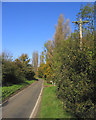 Autumn Colours, Faggoters Lane, High Laver