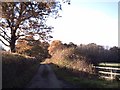 Tarka Trail near Terris Upcott