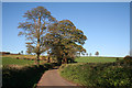 Bradninch: lane from Bradninch to Ellerhayes Bridge