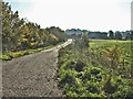 Track leading from Barrow Lane to Broadfield Farm