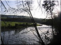 NY1433 : River Derwent on the bend quite full. by John Holmes