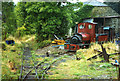 Launceston: Launceston Steam Railway