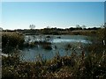 Flooded Peat Workings, Glastonbury Heath