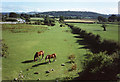 Winscombe: south from Droveway Bridge