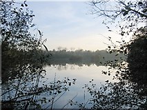 SP1074 : Earlswood Lakes - Terry's Pool by David Stowell