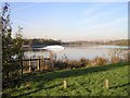 Rother Valley Park - North end