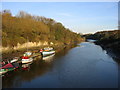 River Wear near Cox Green