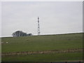 Transmitter Near Floak