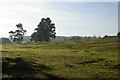 North Downs Way