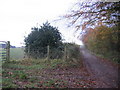 Farm track with field view.