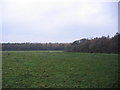 Flimby farmland with sheep.