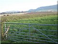 Fields at Jamesfield Farm