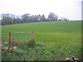 Green Green field in front of Kirkborough.