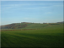 SD5161 : Farmland near Quernmore by David Medcalf