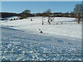 SP9210 : Tring Park under snow by Rob Farrow