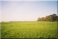 Farmland north of Maidenhead