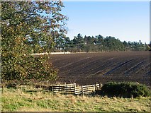 NT4863 : Ploughed field, Leaston. by Richard Webb