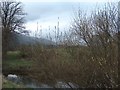 NS9296 : River Devon, Nr Tillicoultry by Andrew McEwan